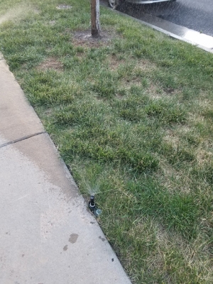 Sprinkler System Repair