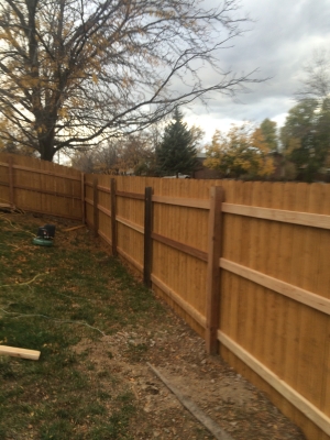Fence and Gate