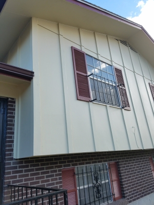 Exterior Paint