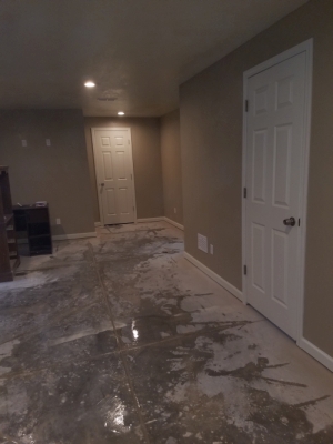 Finish Basement